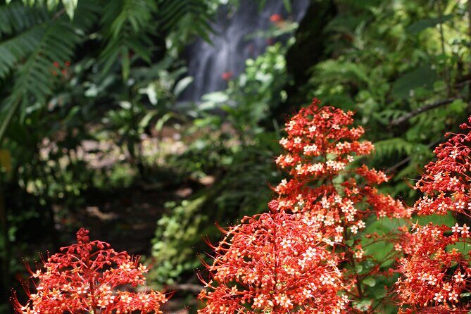 Unique Tahiti tour to Teahupoo, small group, full day combo tour - Final Thoughts