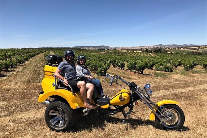 Unique Trike Barossa Valley Half Day Private Tour For 2 - Who Would Love This Experience?