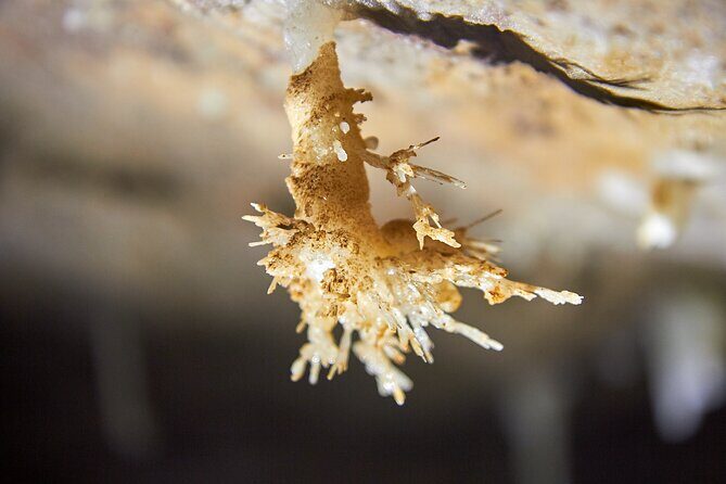Unique Underground Experience in Soprador do Carvalho Cave - Who Will Enjoy This Tour?