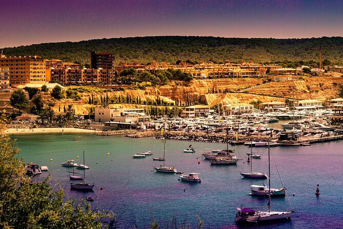 Unique V8 Trike Tour to the Tramuntana Mountains min2 max.4 Pers - Is It Worth the Price?