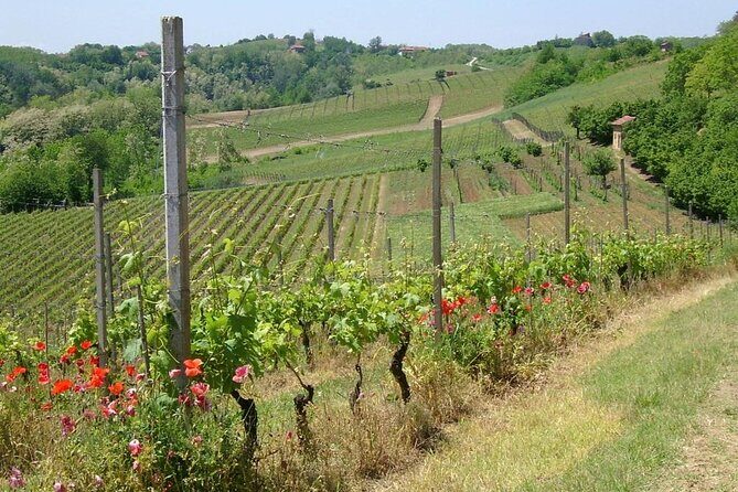 Unique wine tasting at Winery Marchesi Incisa della Rocchetta - Final thoughts