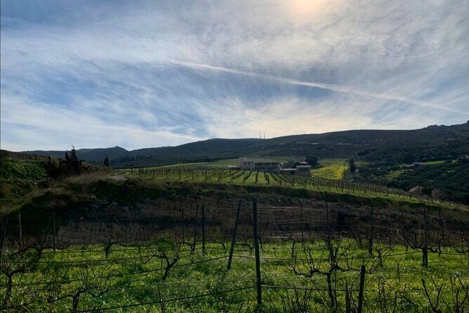 Unique wine tasting of organic Cretan wines - Practical Details to Keep in Mind