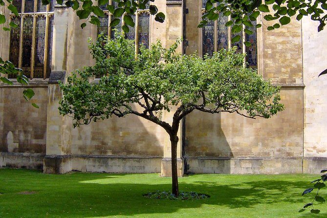 University Walking Tour - Who Will Get the Most Out of This Tour?