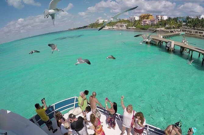 Unlimited Catamaran Isla Mujeres with Transportation from Cancun - Key Points