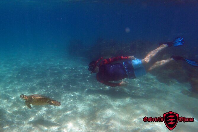 Unlimited Guided Kayaking and Snorkeling Tour-Olowalu - Key Points