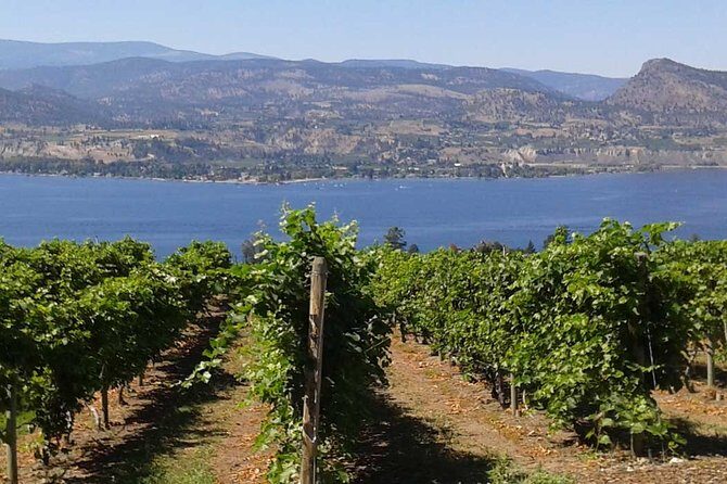 Unmatched Private Wine Tours for Up to 11 in Kelowna Area - FAQs