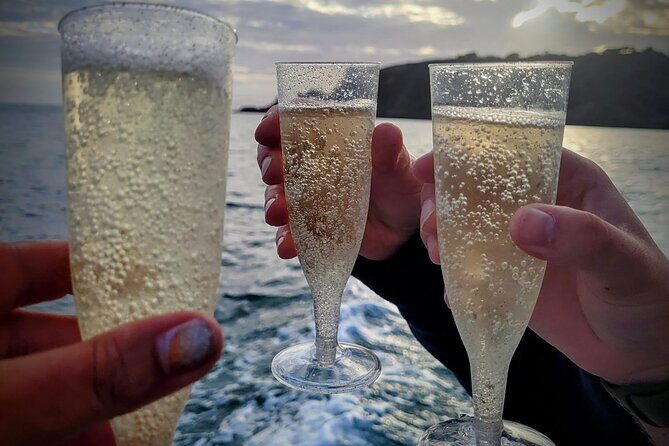 Unrivalled Coastal Tour to Saint's Bay Harbour - Practicalities to Keep in Mind