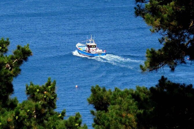 Unrivalled Coastal Tour to Saint's Bay Harbour - Who Should Consider This Tour?