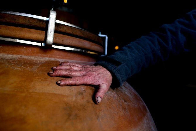 Unusual visit & Tasting of our organic wines - Key Points