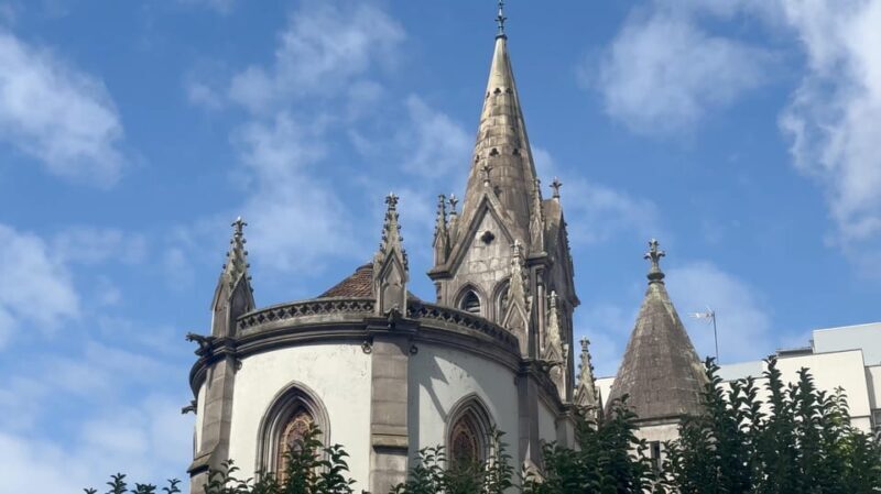 Unveiled Secrets of Porto + Olive Oil Tasting - Deep Dive into the Details