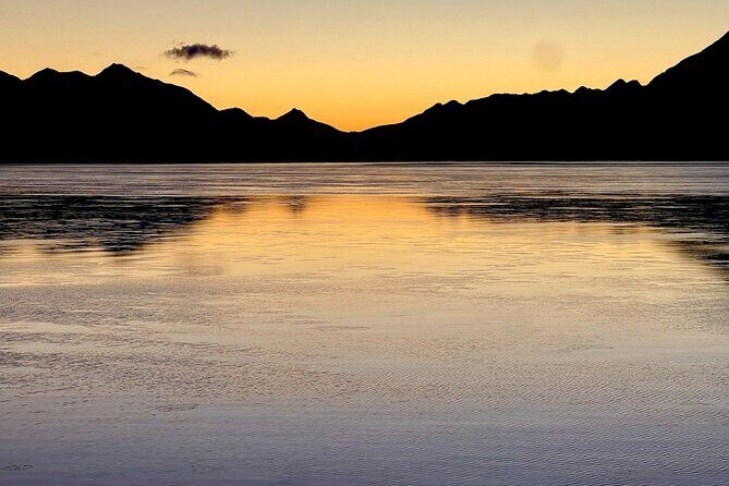 Up to 5 Person Whittier to Anchorage OR Anchorage to Whittier - Is This Tour Right for You?