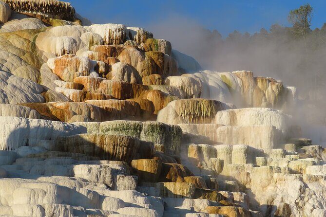 Upper Loop Tour and Lamar Valley from West Yellowstone with Lunch - Who Will Love This Tour?