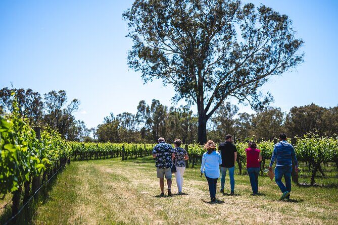 Upper Reach Winery: Swan Valley Winery and Vineyard Tour - Key Points