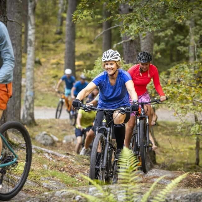 Uppsala: Mountain Bike Rental with Helmet - Key Points
