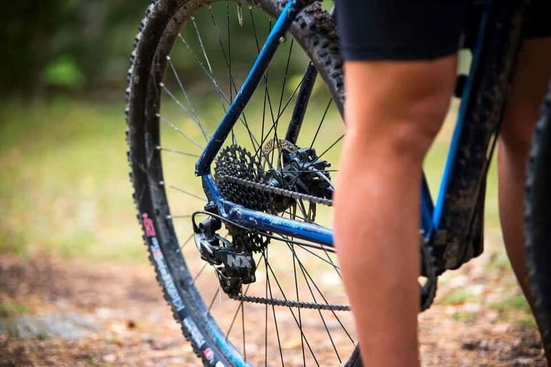 Uppsala: Mountain Bike Rental with Helmet - Why Rent a Mountain Bike in Uppsala?