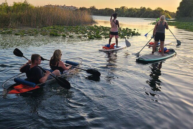 Urban Clear Kayak or Clear Paddleboard in Paradise: Morning/Night - Why This Tour Is a Good Value