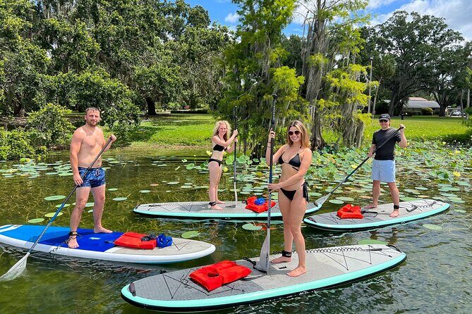 Urban Clear Kayak or Clear Paddleboard in Paradise: Morning/Night - The Sum Up: Is It Worth It?