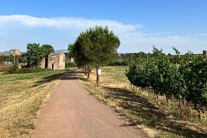 Urban Hike to the Aqueduct Park in Rome - Key Points