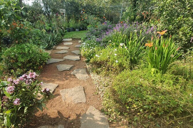 Urban Orchard in Desierto de los Leones in Mexico City - What is the Urban Orchard Experience All About?