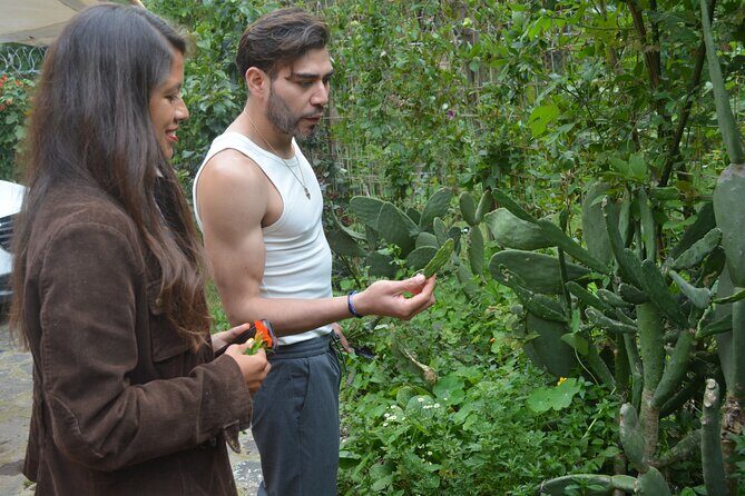 Urban Orchard in Desierto de los Leones in Mexico City - Why This Tour Is a Hit Among Visitors