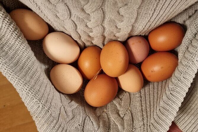 Urban Orchard in Desierto de los Leones in Mexico City - Final Thoughts: Is It Worth It?