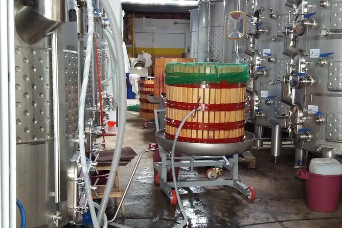 Urban winery tour, premium tasting flight & tapas - A Closer Look at the Experience