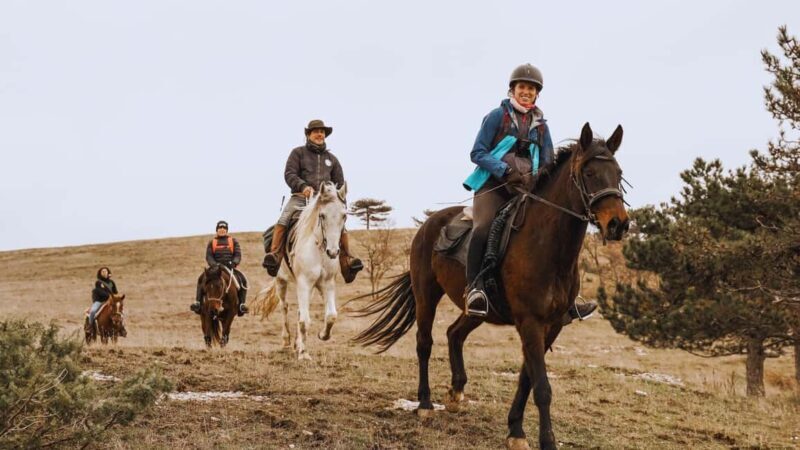 Urbino: 2-hour horseback ride in the Furlo Nature Reserve - Key Points