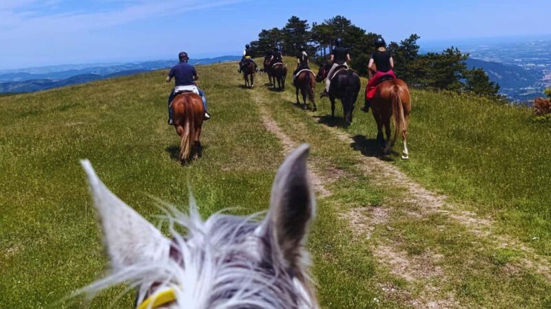 Urbino: 2-hour horseback ride in the Furlo Nature Reserve - A Closer Look at the Experience