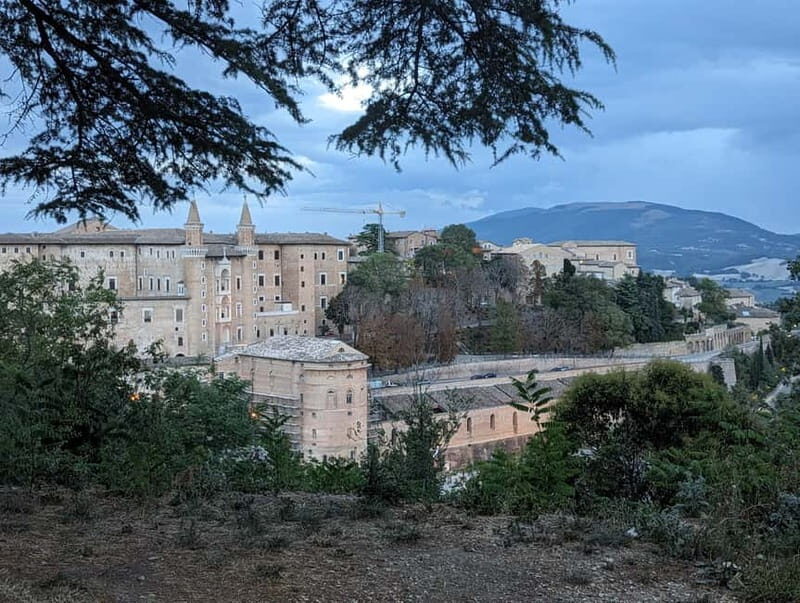 Urbino: Ducal Palace Guided Tour - Who Should Consider This Tour?