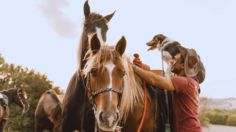 Urbino: Horseback Riding Tour with Guide - Who Will Enjoy This Tour?