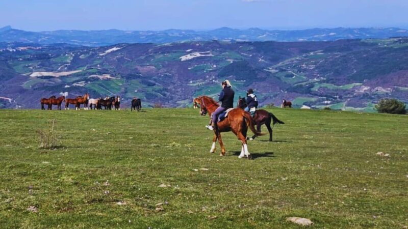 Urbino: Horseback Riding Tour with Guide - FAQ