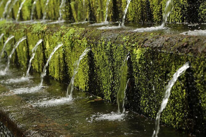 Uruapan Eco Tour with Breakfast - Practical Tips for Your Day