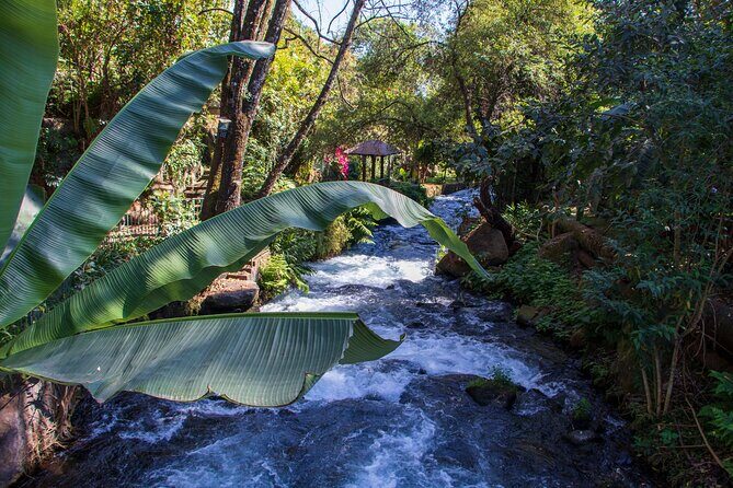 Uruapan Tour and Avocado Garden with Breakfast - The Value Proposition: Is It Worth It?