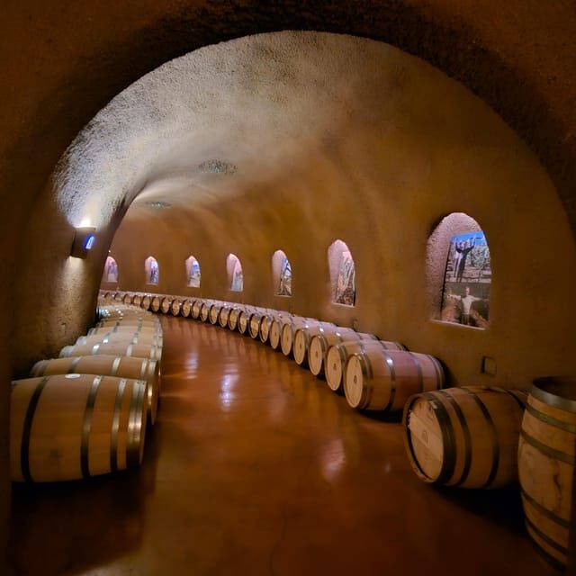 USA/California/Napa: Private Wine Tour for up to 6 guests - What to Expect from the Napa & Sonoma Private Wine Tour