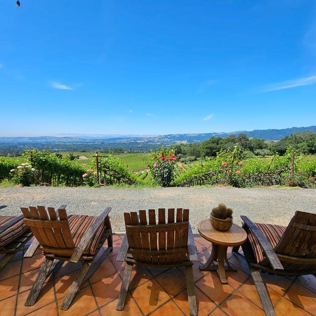 USA/California/Napa: Private Wine Tour for up to 6 guests - Final Thoughts