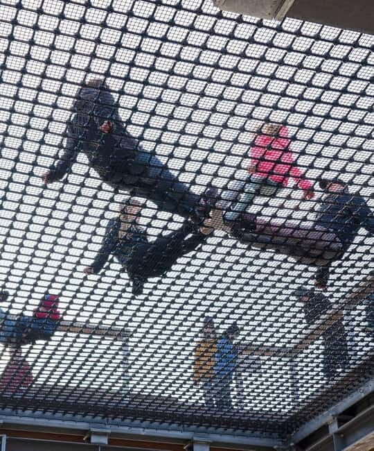 Usedom: Treetop Walk Adventure on Usedom Island - Key Points