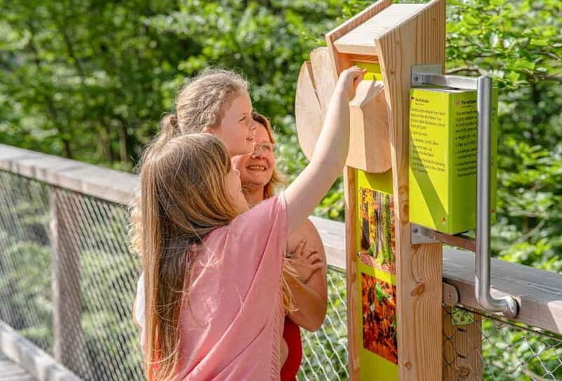 Usedom: Treetop Walk Adventure on Usedom Island - Exploring the Treetop Walk in Detail