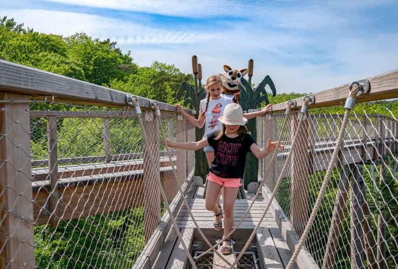 Usedom: Treetop Walk Adventure on Usedom Island - Final Thoughts