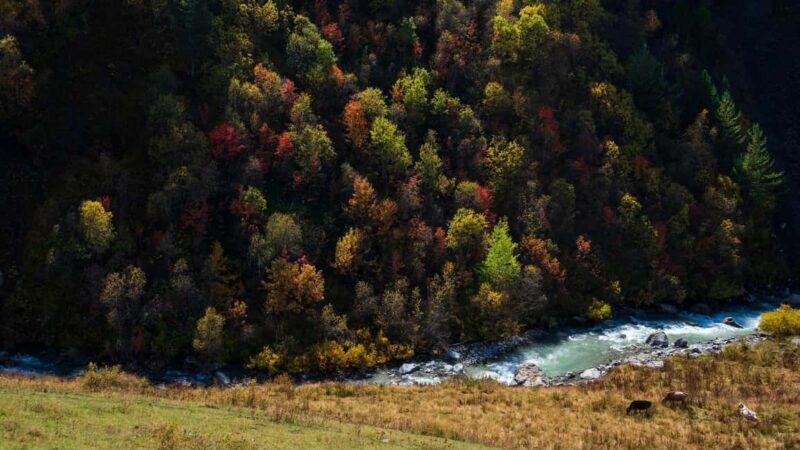 Ushguli: Horse Riding Tour to Shkhara Glacier - Discovering Ushguli and the Shkhara Glacier by Horseback