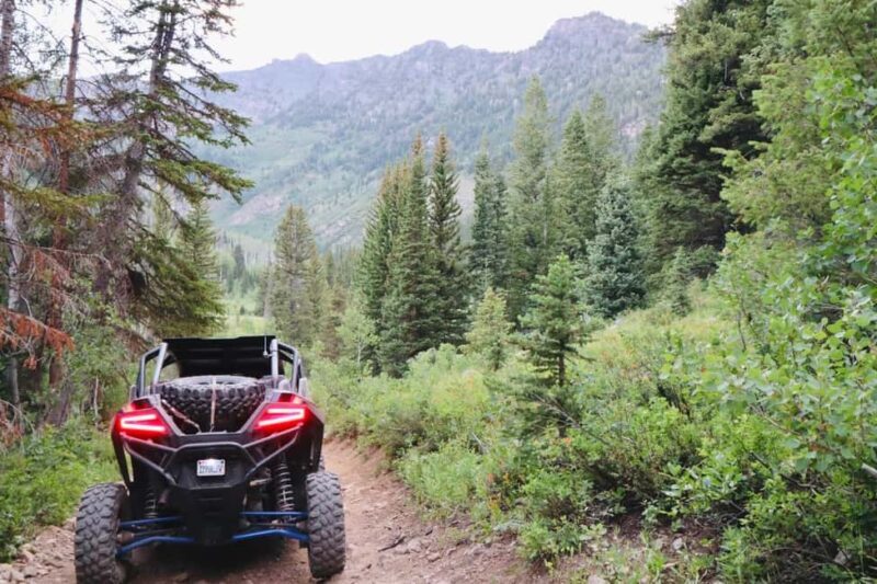 Utah: Guided UTV Tour with Local Expert - Real Traveler Feedback