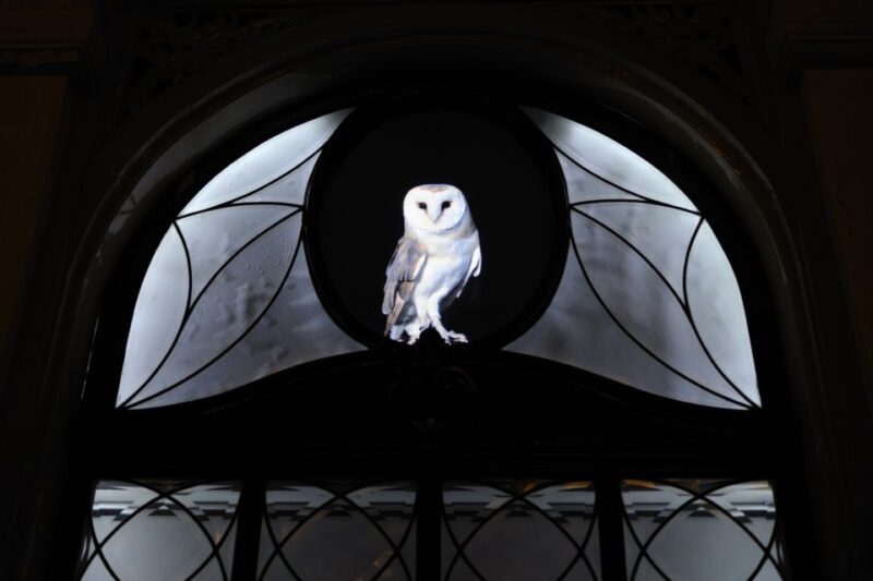 Utrecht: Guided Lumen Walking - FAQs