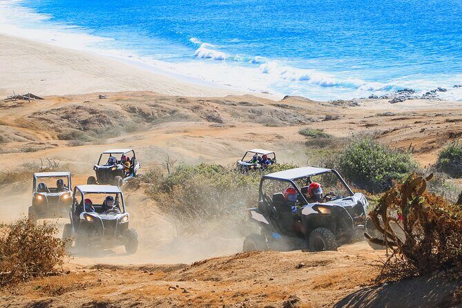 UTV Adventure + Free Camel Ride & Sky Bikes - The Real Value of This Tour