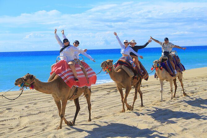 UTV Adventure + Free Camel Ride & Sky Bikes - FAQ