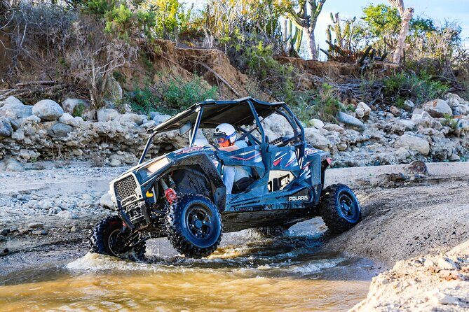 UTV and Camel Ride in the Cabo Desert - Key Points