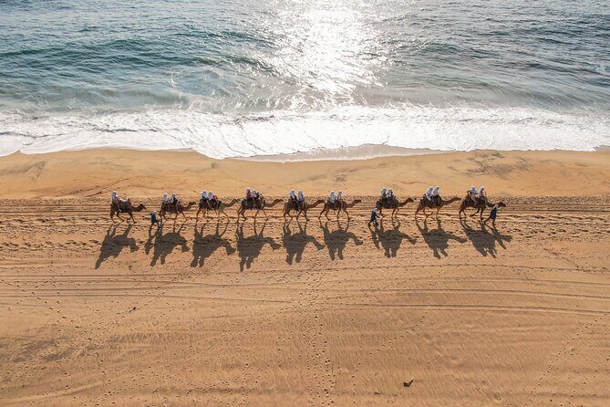 UTV and Camel Ride in the Cabo Desert - Who This Tour Is Best For