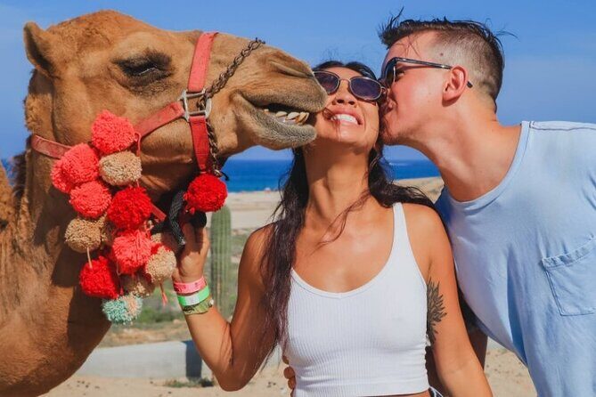 UTV and Camel Ride in the Cabo Desert - FAQs