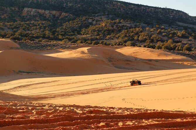 UTV Ride Climb and Rappel "Window to the Dunes" Experience - What to Expect from the Coral Pink Sand Dunes UTV & Rappel Tour