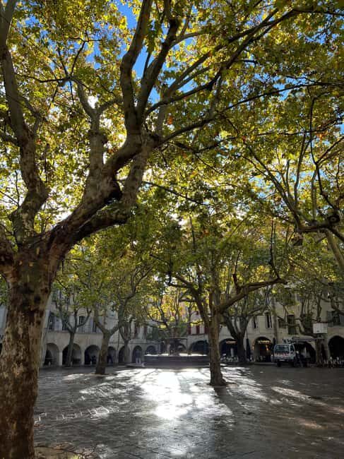 Uzès: Stories, Alleys, and Secrets of the Duchy - Exploring Uzès with a Local Guide