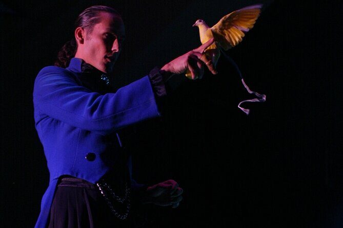 V - The Ultimate Variety Show at Planet Hollywood Resort and Casino - Who Should Book This?