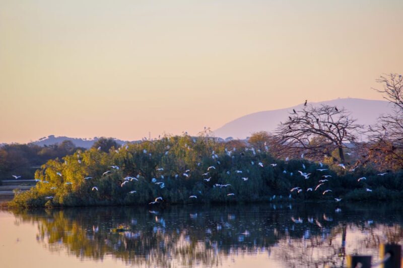 Valada: 1 hour boat trip, guided tour - Final Thoughts